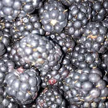 Tom Thumb - Blackberries! - Grocery Near Me - Mckinney, Texas Tom Thumb - Blackberries! - Grocery Near Me - Mckinney, Texas