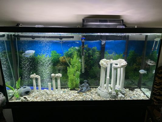 eden pets supplies & aquarium