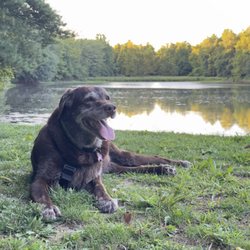 Falls Church Animal Hospital