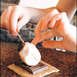 Eruption Brewery & Bistro - Table Side S'mores