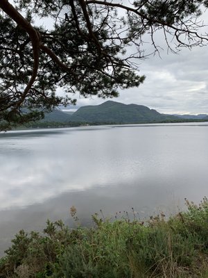 The Lake Hotel by null