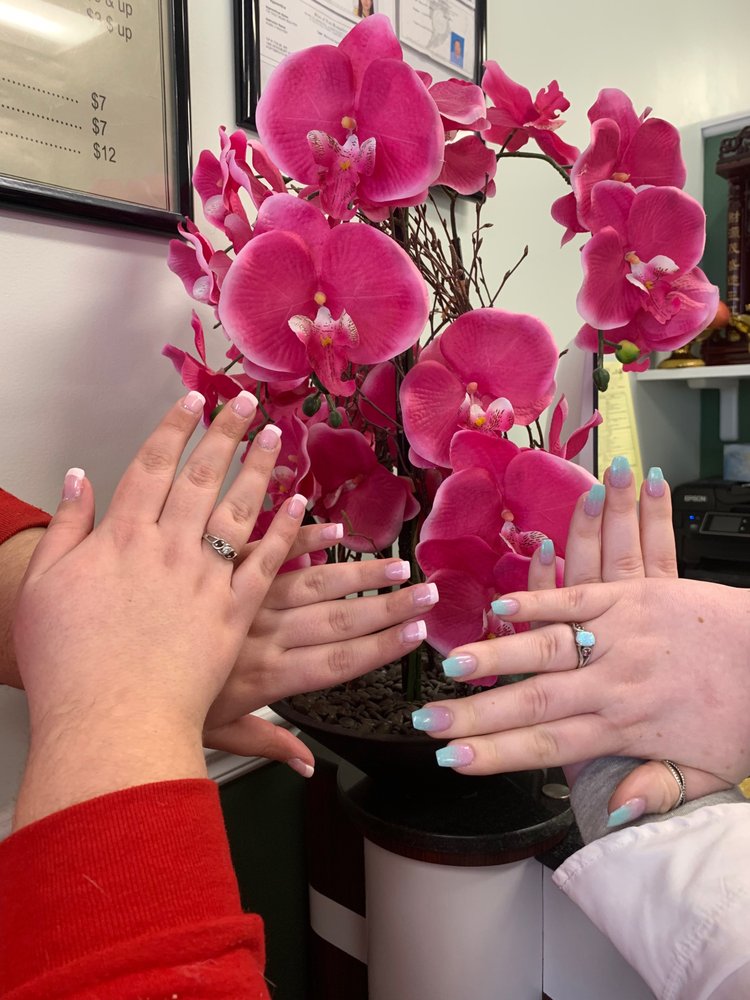 THE NEW PLACE NAIL SALON 33 Photos & 21 Reviews 1465 Woodbury Ave