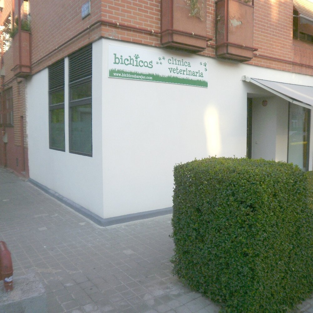 The Best 10 Veterinarians near Clinica Servivet in Madrid - Yelp