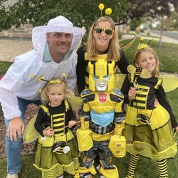 Bumble Bee Blinds of Northern Colorado