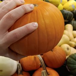 Richmond Market and Beverage - This is how big a pumpkin was in autumn, bigger than my hand!