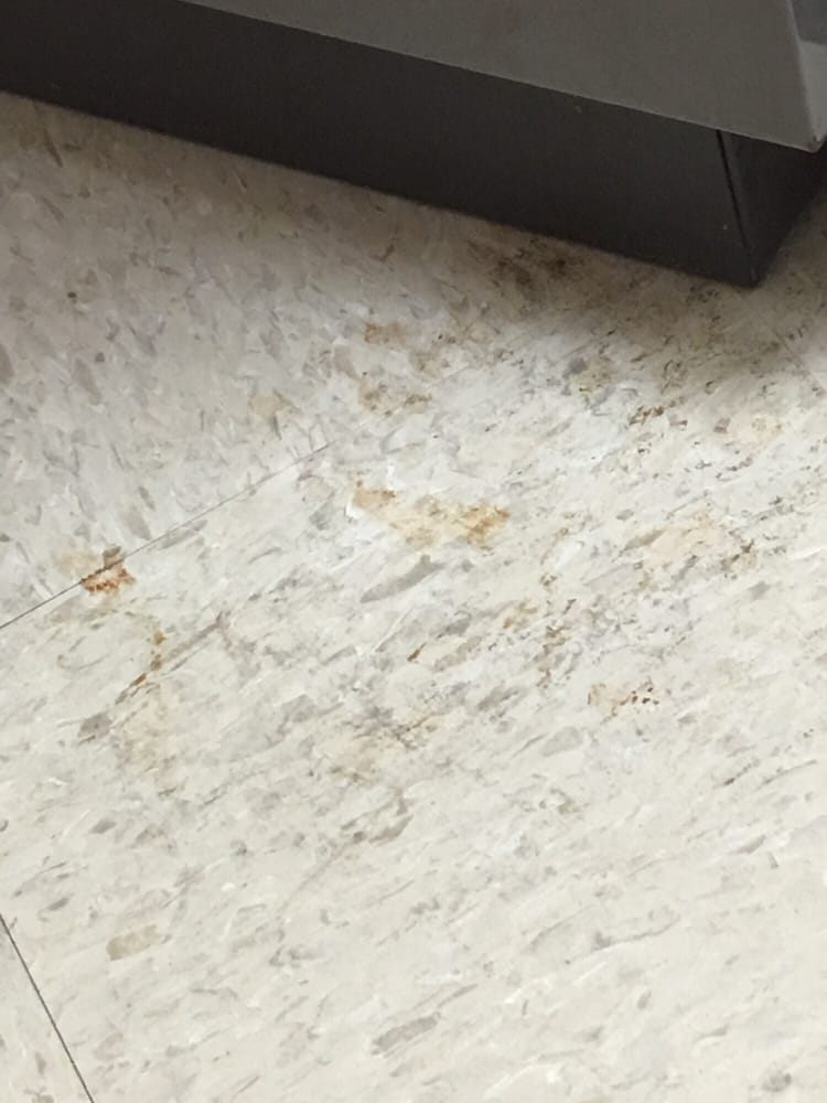 Pham Medical Clinic Updated February 2026 24 Reviews 12545 Briar