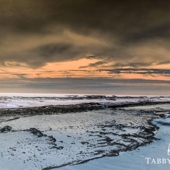 Tabby Realty - Isle of Palms - Real Estate Agents Near Me - Mount Pleasant, South Carolina Tabby Realty - Isle of Palms - Real Estate Agents Near Me - Mount Pleasant, South Carolina