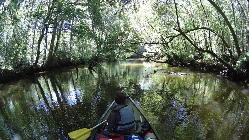 LOU CANOË 6 chemin de Pujeau Perrein, BelinBéliet, Gironde, France