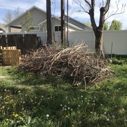 Unique Tree Service - Second pile of brush mulched on-site