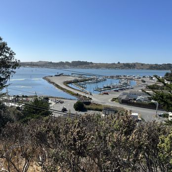 The Birds Cafe - View from side deck - Seafood Near Me - Bodega Bay, California The Birds Cafe - View from side deck - Seafood Near Me - Bodega Bay, California