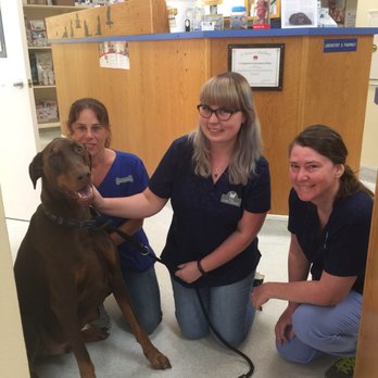 Companion Veterinary Clinic - Veterinarians Near Me - Auburn, California