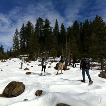 Calaveras Big Trees State Park - Parks Near Me - Arnold, California