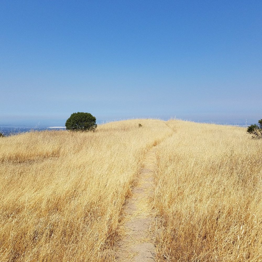 Coal Creek Open Space Preserve - Clouds Rest trail, on top of the mount - Parks Near Me - San Mateo, California Coal Creek Open Space Preserve - Clouds Rest trail, on top of the mount - Parks Near Me - San Mateo, California