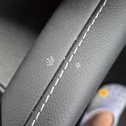 Hertz Rent A Car