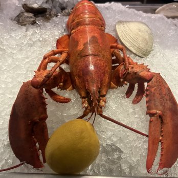 Row 34 - Seaport - On ice - New American Near Me - Boston, Massachusetts