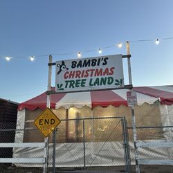 Bambi's Christmas Tree Land - Bambi's Christmas Tree Land sign