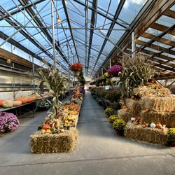 Simmons Farmers Market - Flowers and pumpkins