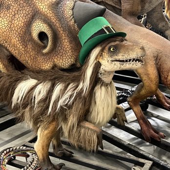 The Dinosaur Company - Museums Near Me - Allen, Texas The Dinosaur Company - Museums Near Me - Allen, Texas