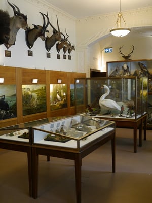 Wollaton Hall by null