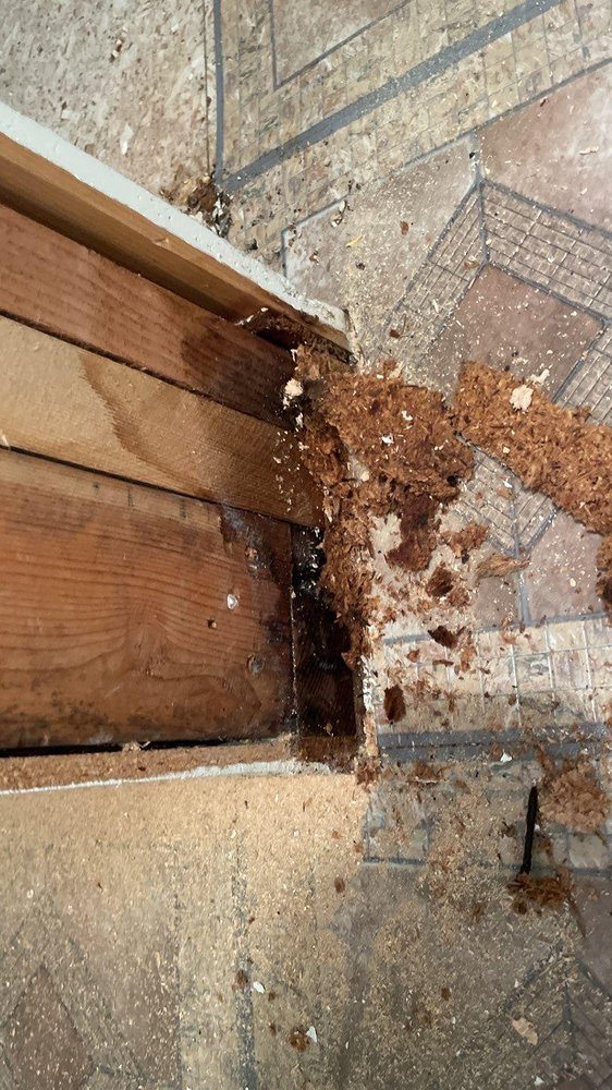 Slide of Utah Flood Cleanup