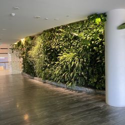 Qantas First Class Lounge - First class lounge entrance.