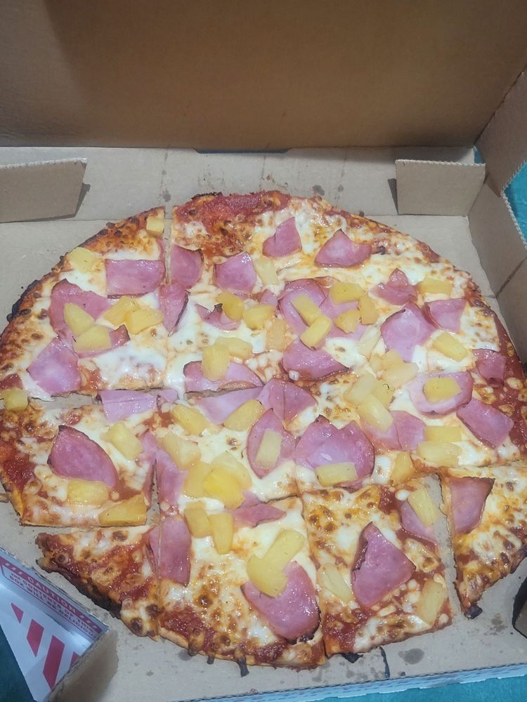 Domino's Pizza Logo