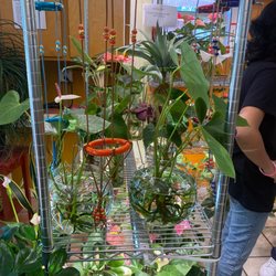 Plant Daddy Pro - Plant wonderland
