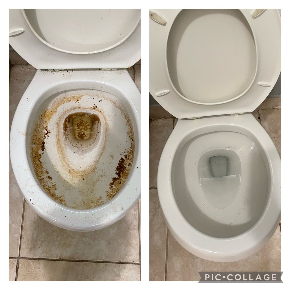 NITTY GRITTY CLEANING SERVICES Home Cleaning Bartow, FL Phone