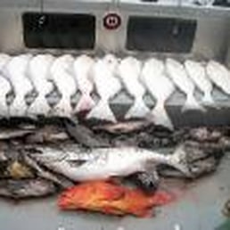 Diversity in fishing!