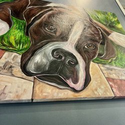 Cole Veterinary Hospital at Legends Ranch