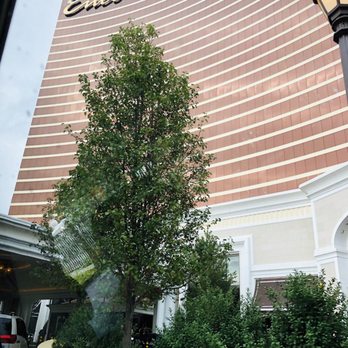 The Spa at Encore Boston Harbor - Day Spas Near Me - Everett, Massachusetts