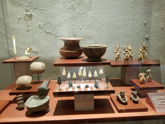 Museo Regional Michoacano, Dr. Nicolás León Calderón by null