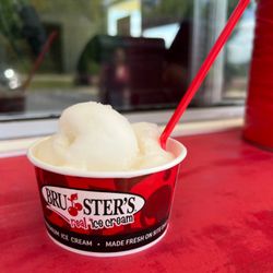 Bruster's Real Ice Cream - Lemon Ice