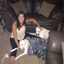 Middlebury Animal Hospital