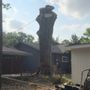 Photo of Garden Of Eden Tree Service