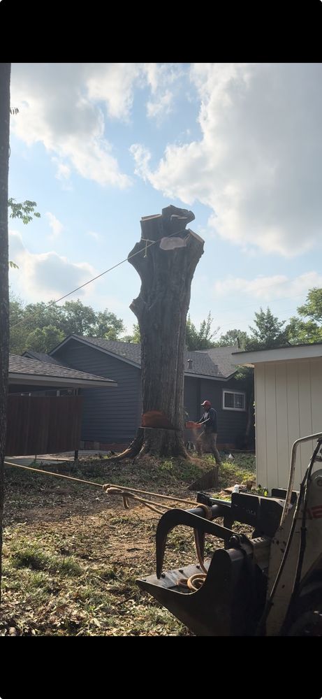 Garden Of Eden Tree Service - tree service in Baton Rouge, LA