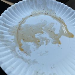 Geno’s Pizza - My empty pizza plate:) I ate it in like 2mins :))