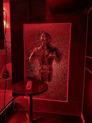 The Comfort Zone by null