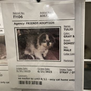 FRIENDS OF UPLAND ANIMAL SHELTER - Updated June 2024 - 55 Photos & 59