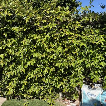 Landscape Locators - Landscape Architects or Designers Near Me