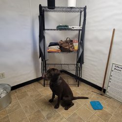 Valley Springs Feed & Pet Supply - Towel rack