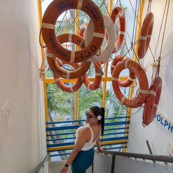 Pete’s Bagels - Coffee & Tea Near Me - Tarpon Springs, Florida