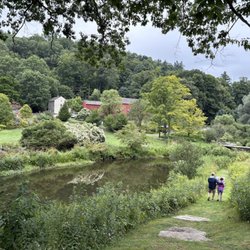 View of the gardens