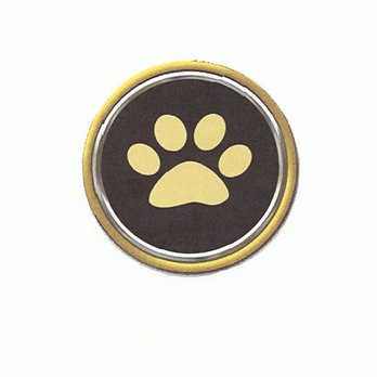 Neighborhood Pet Services - Neighborhood Pet Services 549-4009 - Dog Walkers Near Me - Hadley, Massachusetts Neighborhood Pet Services - Neighborhood Pet Services 549-4009 - Dog Walkers Near Me - Hadley, Massachusetts