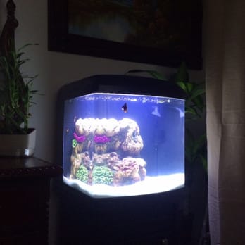 Exotic Aquatic - Aquarium Services Near Me - Fort Lauderdale, Florida Exotic Aquatic - Aquarium Services Near Me - Fort Lauderdale, Florida