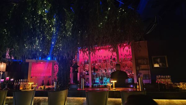 Willow Detroit by null