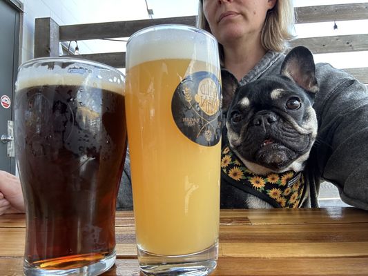 Bald Man Brewing by null