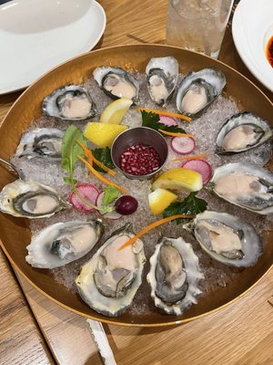 Ox and Anchor by null