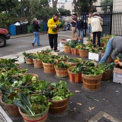 Live Power Community Farm - More San Francisco baskets