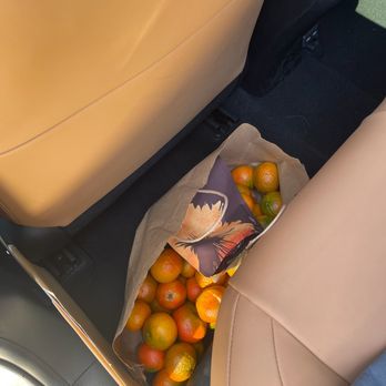 Lexus Carlsbad - Bag of oranges behind the driver seat that whoever took my car in decided to slide the seat all the way back without checking and crushed it - Auto Repair Near Me - Carlsbad, California Lexus Carlsbad - Bag of oranges behind the driver seat that whoever took my car in decided to slide the seat all the way back without checking and crushed it - Auto Repair Near Me - Carlsbad, California